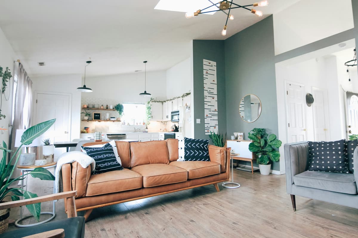Bright living room with a teal feature wall, leather sofa and timber shelving